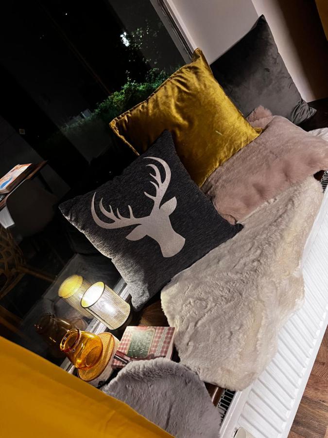 Bavaria Mountain Lodge Ski Arber Osser Bayrischer Wald Designer Ferienwohnung Lohberg Exterior foto